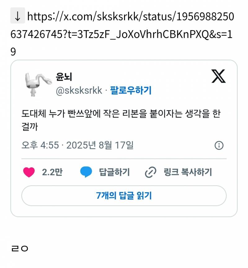 도대체 누가 빤쓰앞에 작은 리본을 붙이자는 생각을 한걸까 | 인스티즈