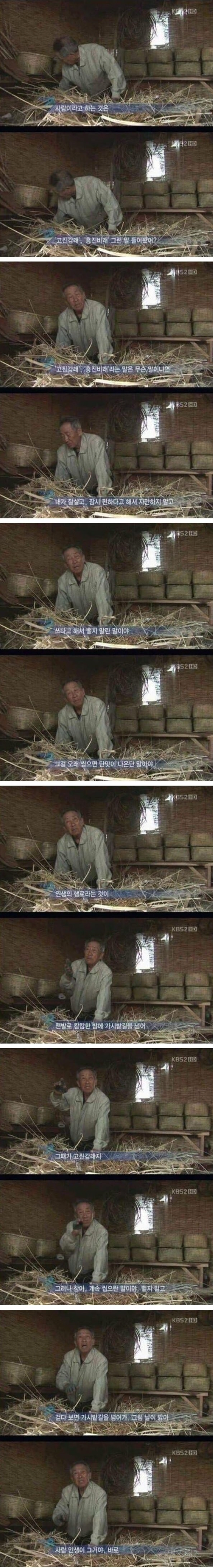 전설로 회자되고 있는 다큐 3일 레전드 명언.jpg | 인스티즈