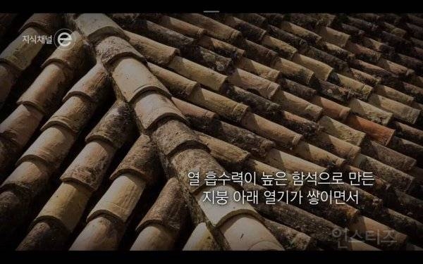 프랑스 파리에서 한여름에 1만명 이상이 사망한 이유 | 인스티즈