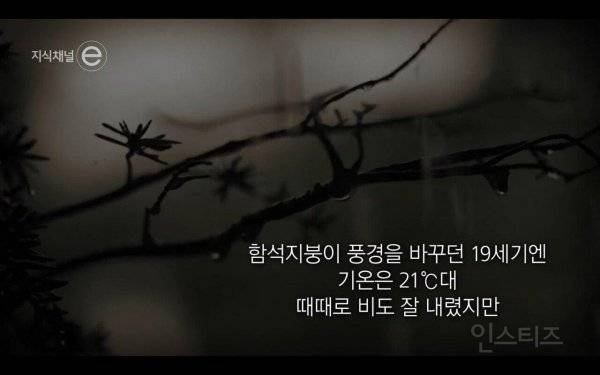 프랑스 파리에서 한여름에 1만명 이상이 사망한 이유 | 인스티즈
