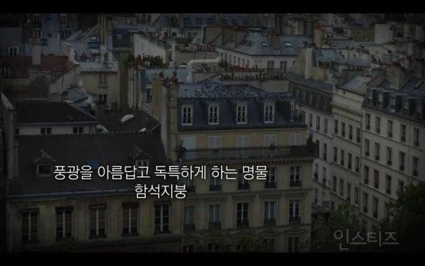 프랑스 파리에서 한여름에 1만명 이상이 사망한 이유 | 인스티즈