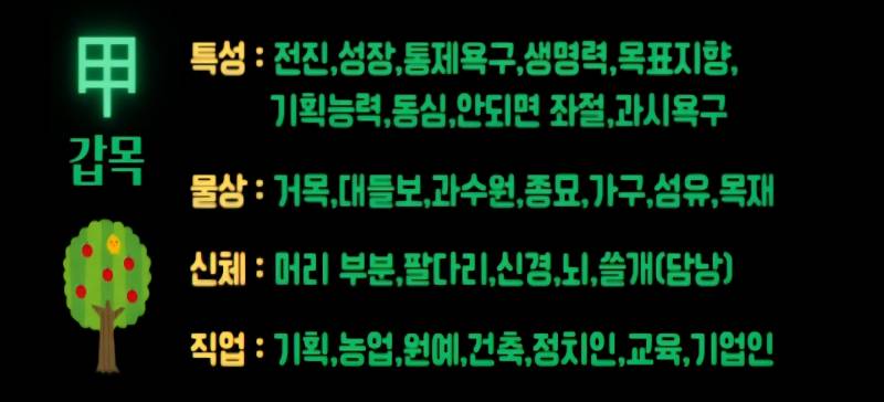 [잡담] 천간을 알아야 사주가 보인다 갑목에 대한 모든 것 | 인스티즈