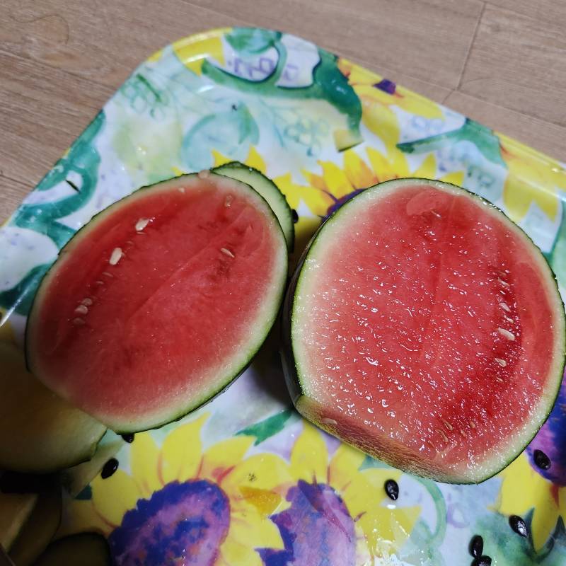 [잡담] 나 수박부자야🍉🍉 | 인스티즈