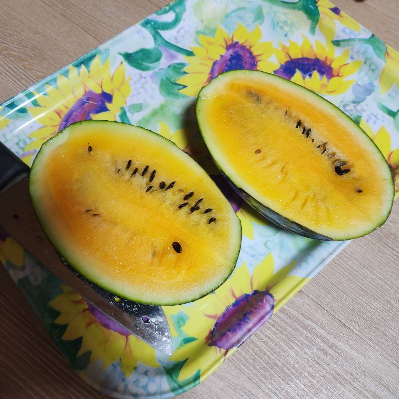[잡담] 나 수박부자야🍉🍉 | 인스티즈