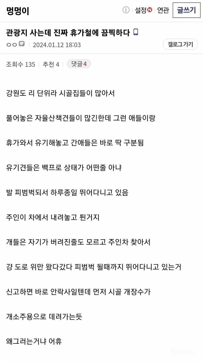 어느 디시인이 휴가철마다 보는 지옥도🐶 | 인스티즈