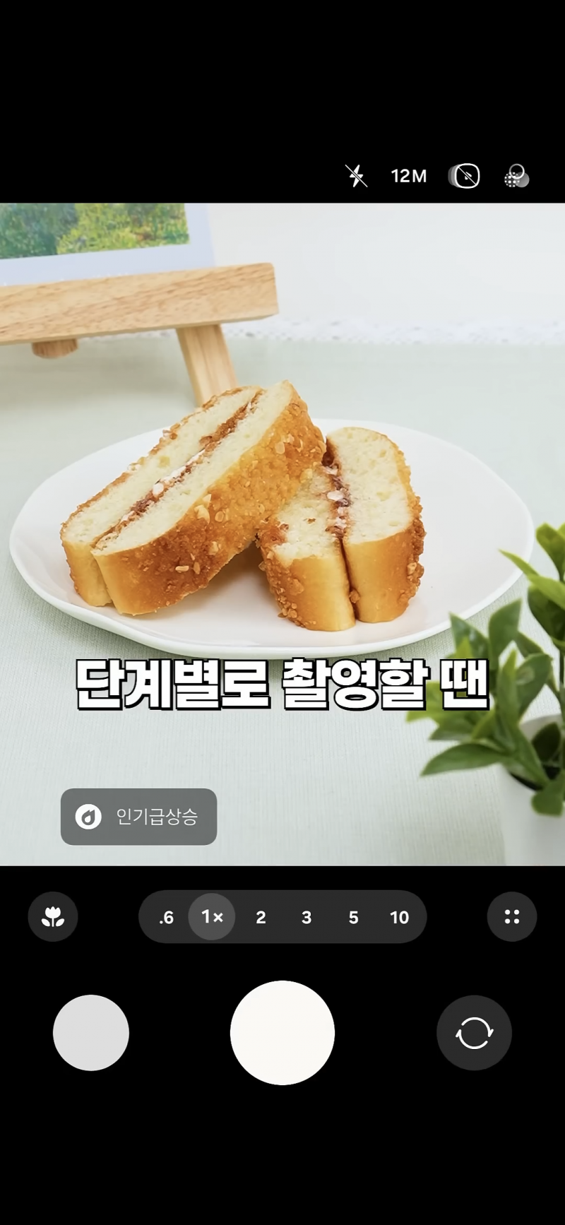 사진 초보도 금손이 되는 비결 | 인스티즈