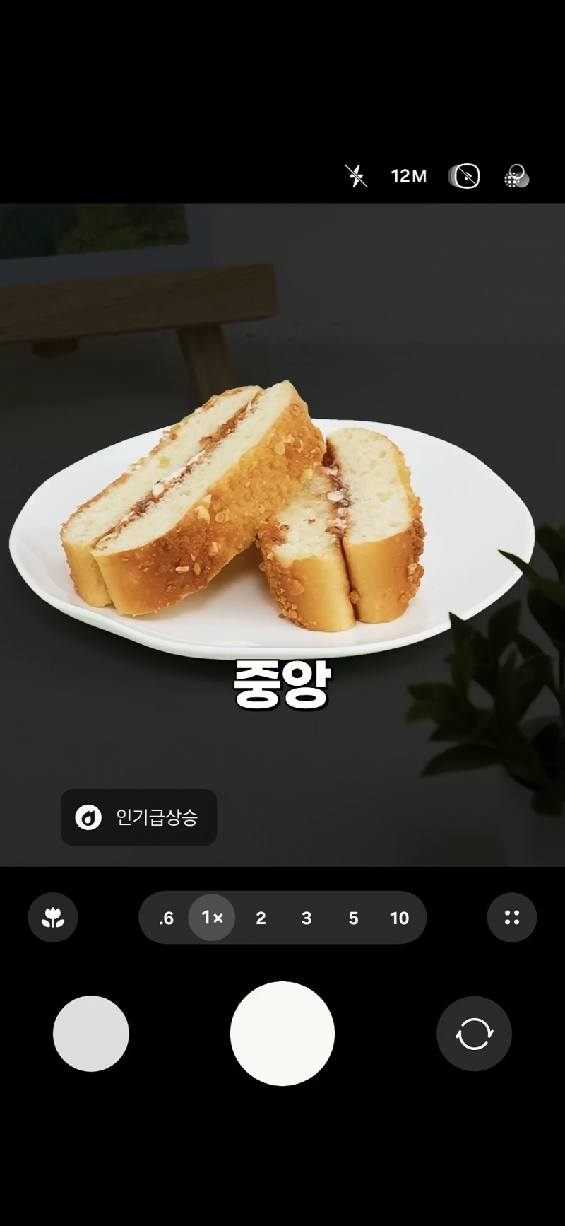 사진 초보도 금손이 되는 비결 | 인스티즈
