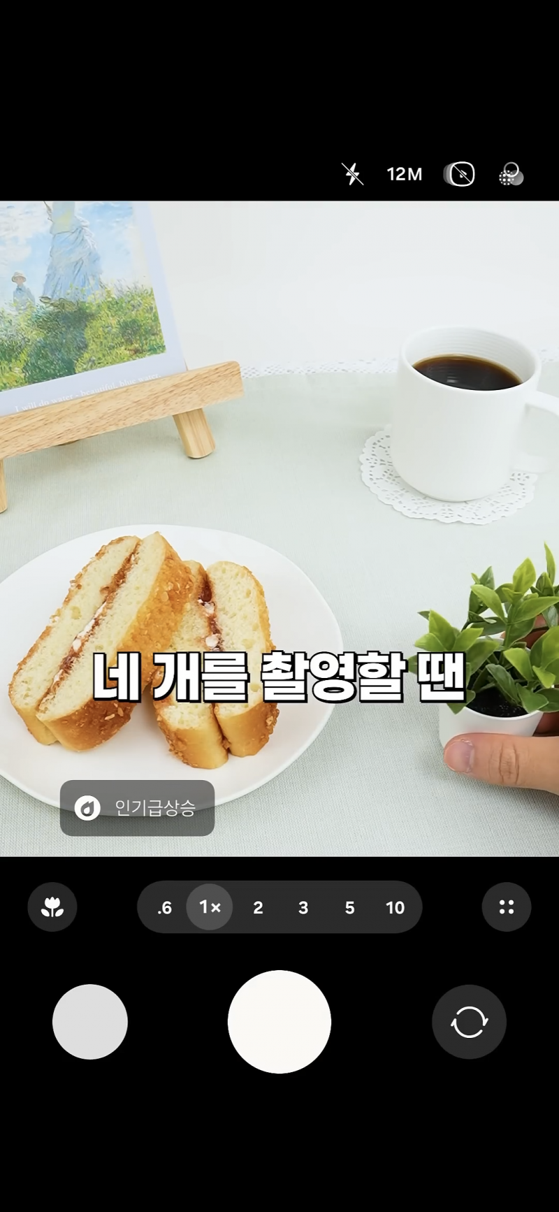 사진 초보도 금손이 되는 비결 | 인스티즈