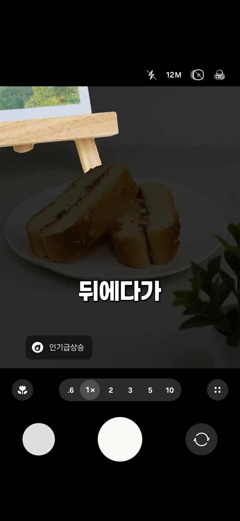 사진 초보도 금손이 되는 비결 | 인스티즈
