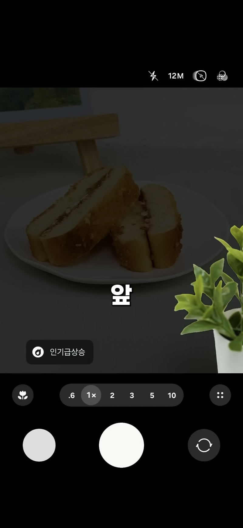 사진 초보도 금손이 되는 비결 | 인스티즈