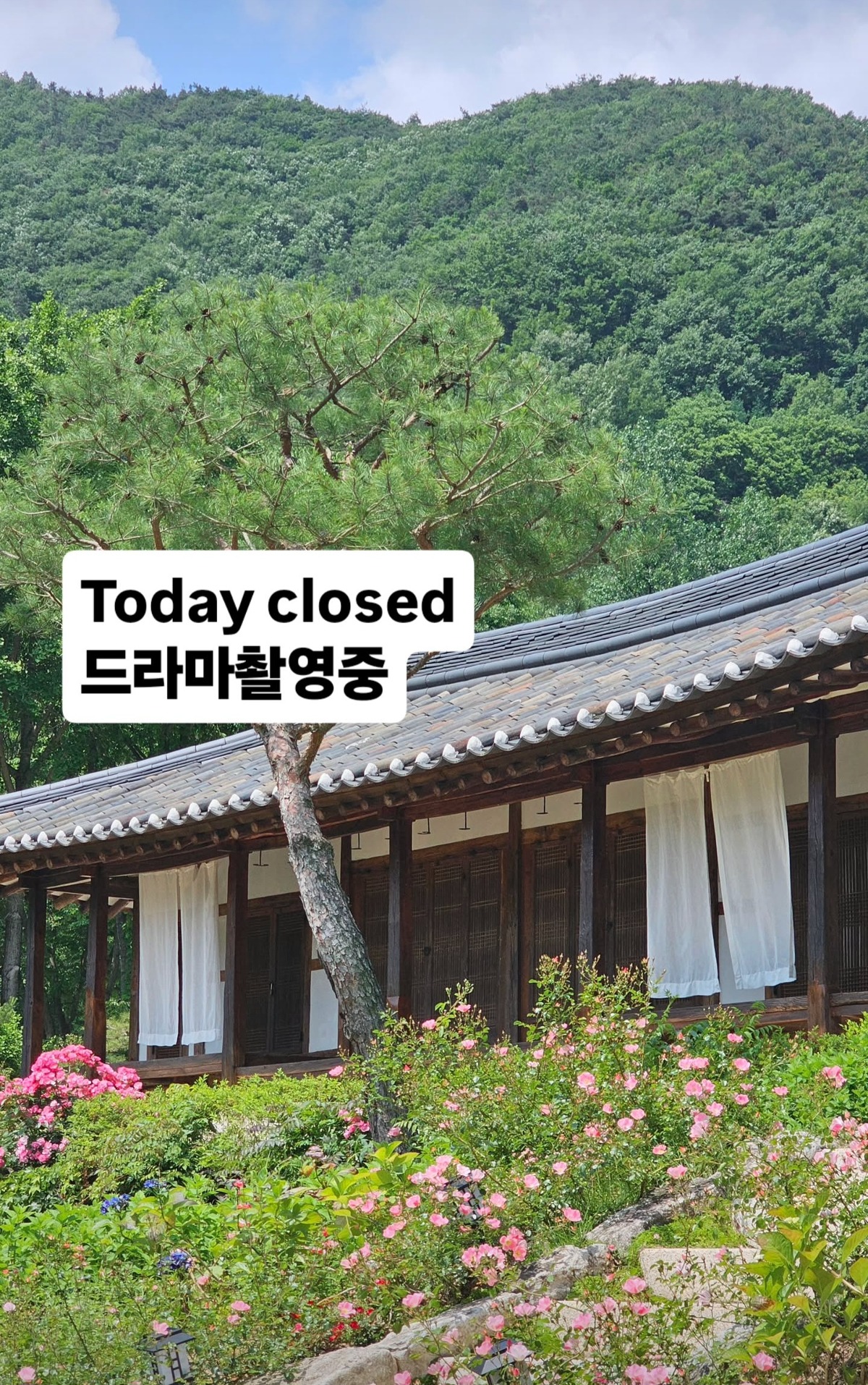 [잡담] 대군부인 야촬 장소 뜨는곳마다 감다살 | 인스티즈