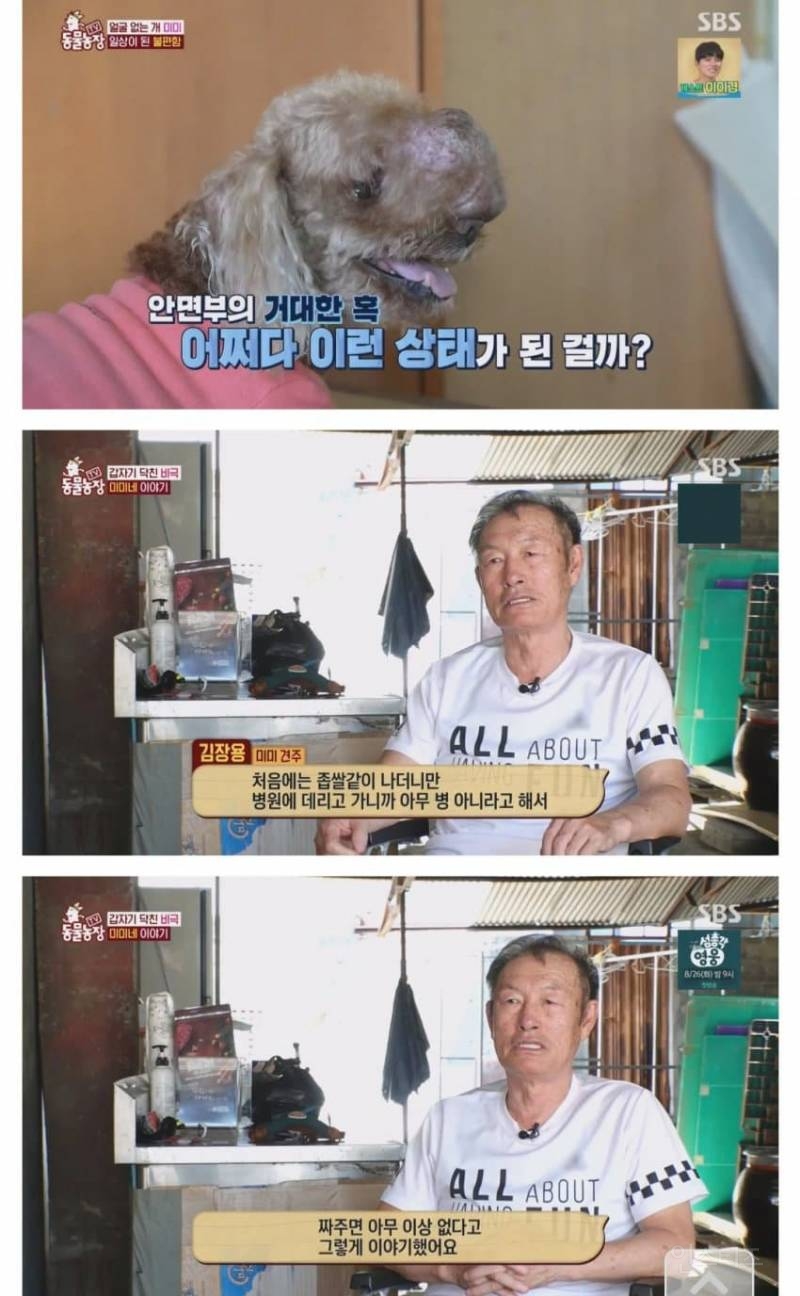 얼굴없는 강아지 미미 ㅠㅜ (충격주의) | 인스티즈