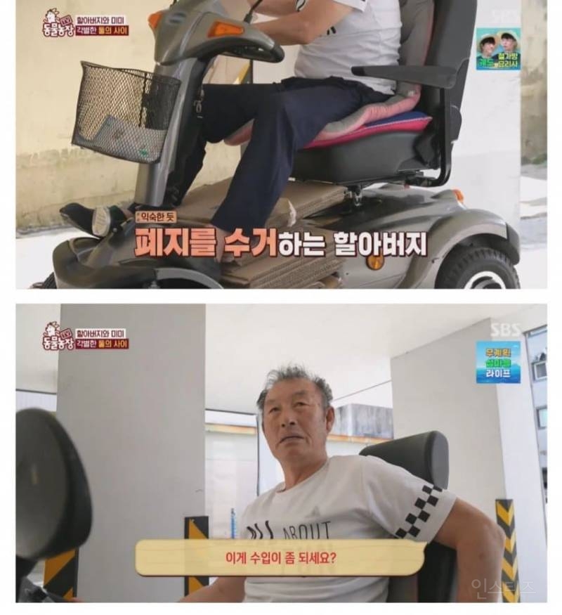 얼굴없는 강아지 미미 ㅠㅜ (충격주의) | 인스티즈
