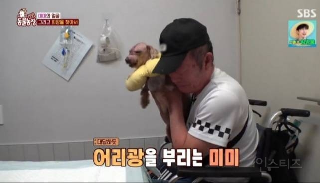 얼굴없는 강아지 미미 ㅠㅜ (충격주의) | 인스티즈