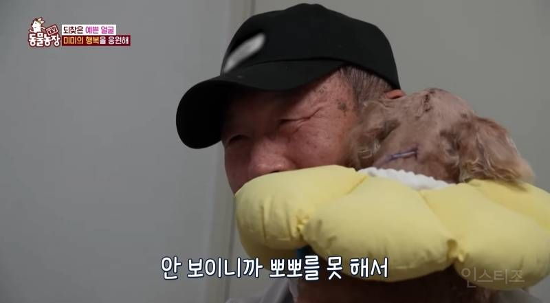 얼굴없는 강아지 미미 ㅠㅜ (충격주의) | 인스티즈