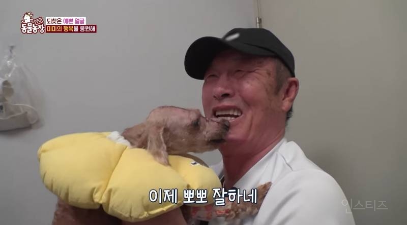 얼굴없는 강아지 미미 ㅠㅜ (충격주의) | 인스티즈