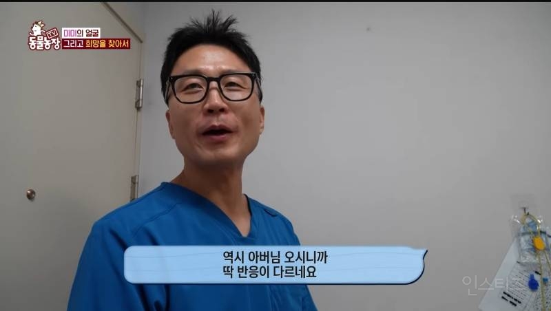 얼굴없는 강아지 미미 ㅠㅜ (충격주의) | 인스티즈