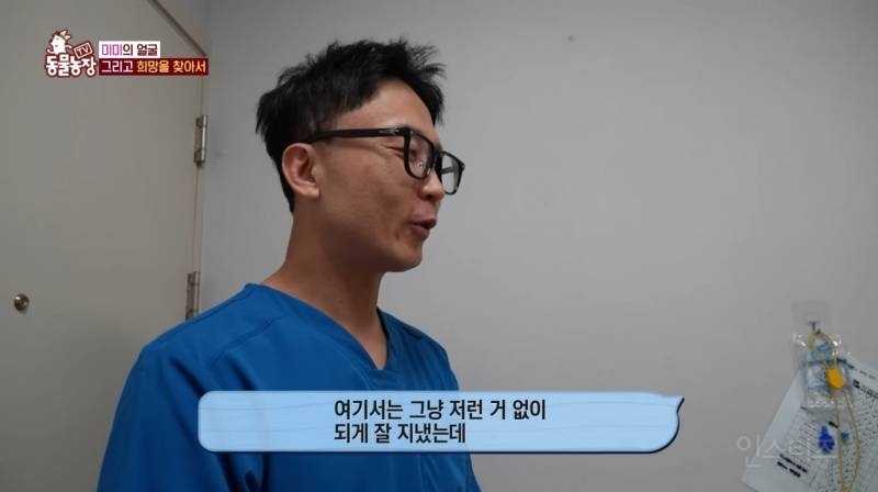 얼굴없는 강아지 미미 ㅠㅜ (충격주의) | 인스티즈