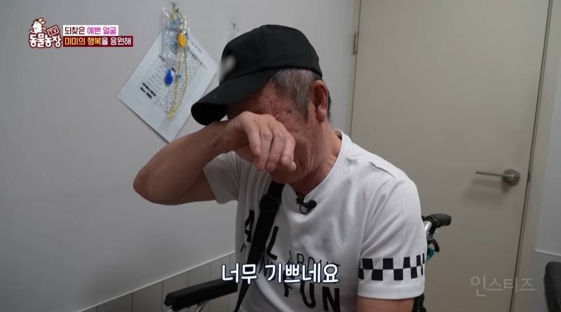 얼굴없는 강아지 미미 ㅠㅜ (충격주의) | 인스티즈