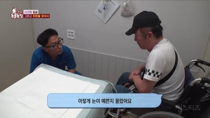 얼굴없는 강아지 미미 ㅠㅜ (충격주의) | 인스티즈