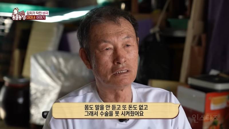 얼굴없는 강아지 미미 ㅠㅜ (충격주의) | 인스티즈