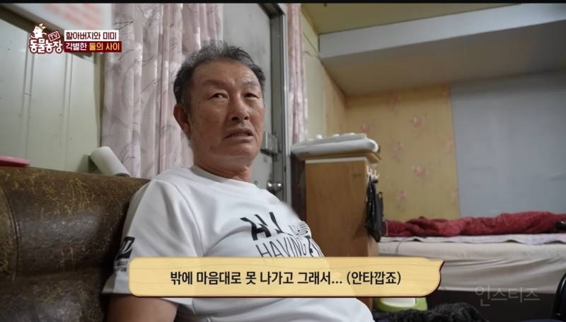 얼굴없는 강아지 미미 ㅠㅜ (충격주의) | 인스티즈
