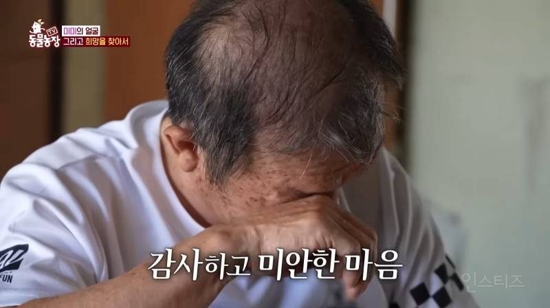 얼굴없는 강아지 미미 ㅠㅜ (충격주의) | 인스티즈