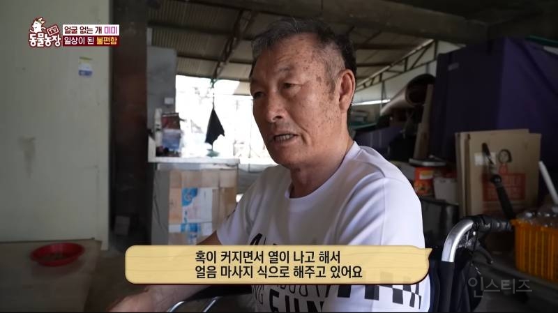 얼굴없는 강아지 미미 ㅠㅜ (충격주의) | 인스티즈