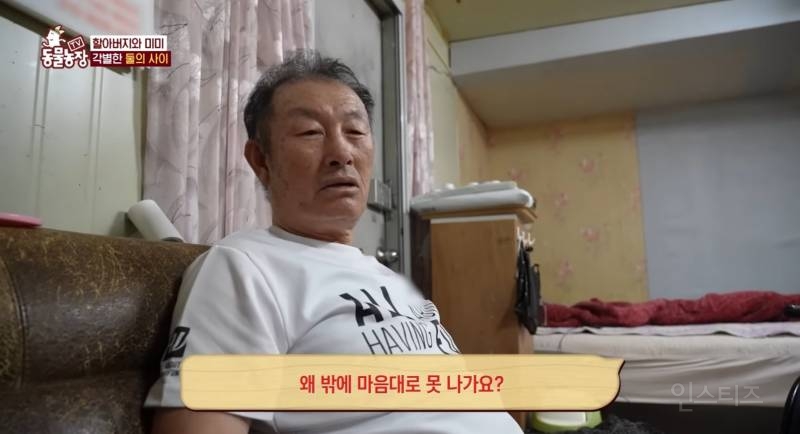 얼굴없는 강아지 미미 ㅠㅜ (충격주의) | 인스티즈