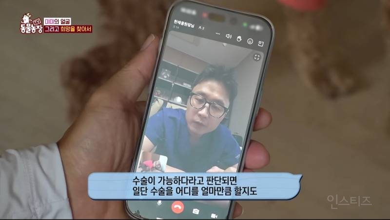 얼굴없는 강아지 미미 ㅠㅜ (충격주의) | 인스티즈