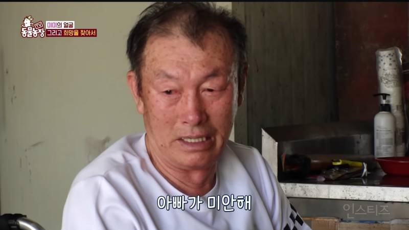 얼굴없는 강아지 미미 ㅠㅜ (충격주의) | 인스티즈