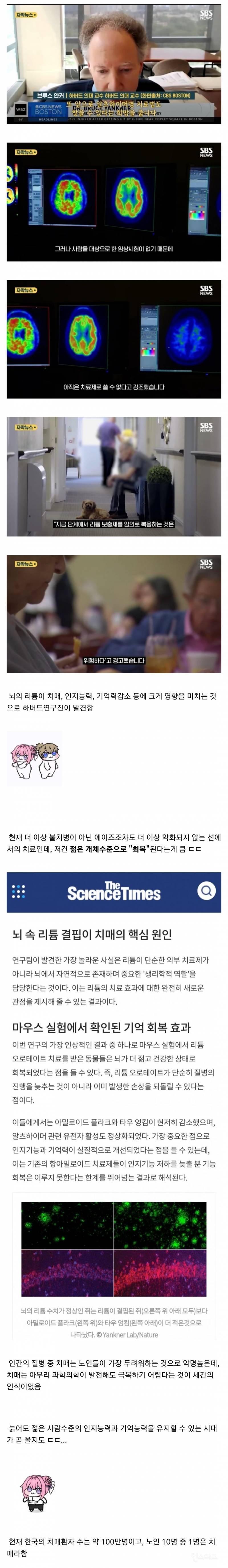 치매 연구 진전 상황 | 인스티즈