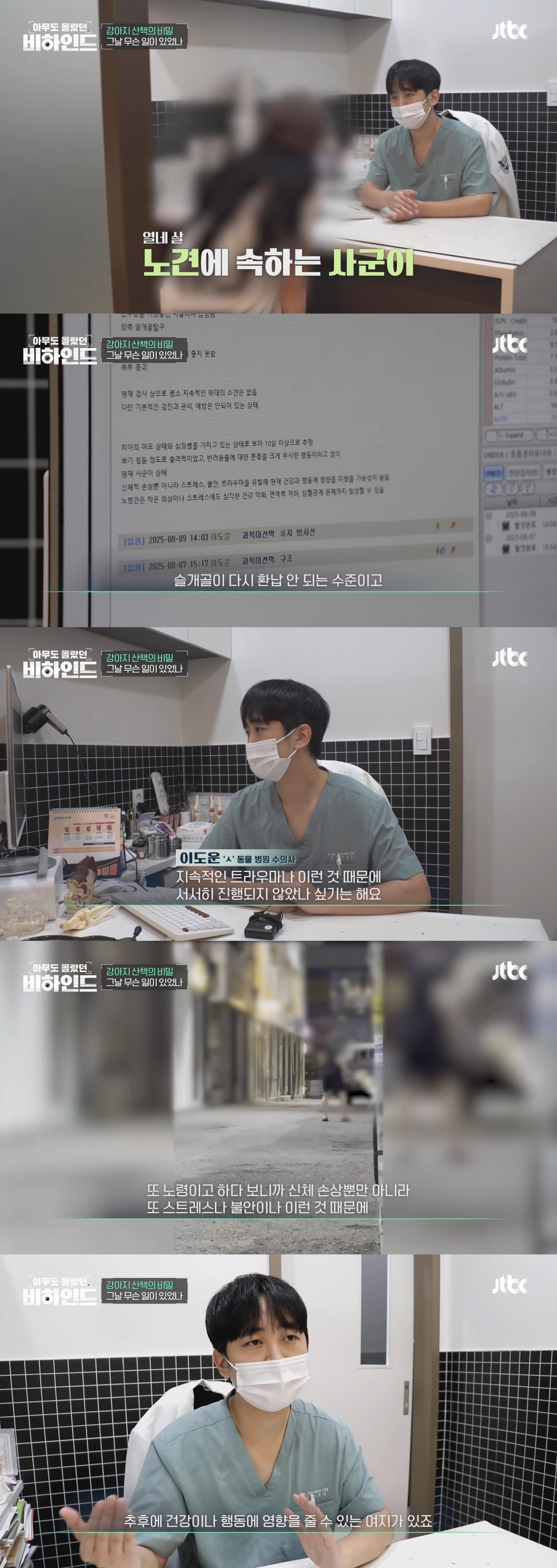 강아지 목줄 잡고 공중에서 휘둘러 난리났던 강아지 학대 사건 비하인드 | 인스티즈