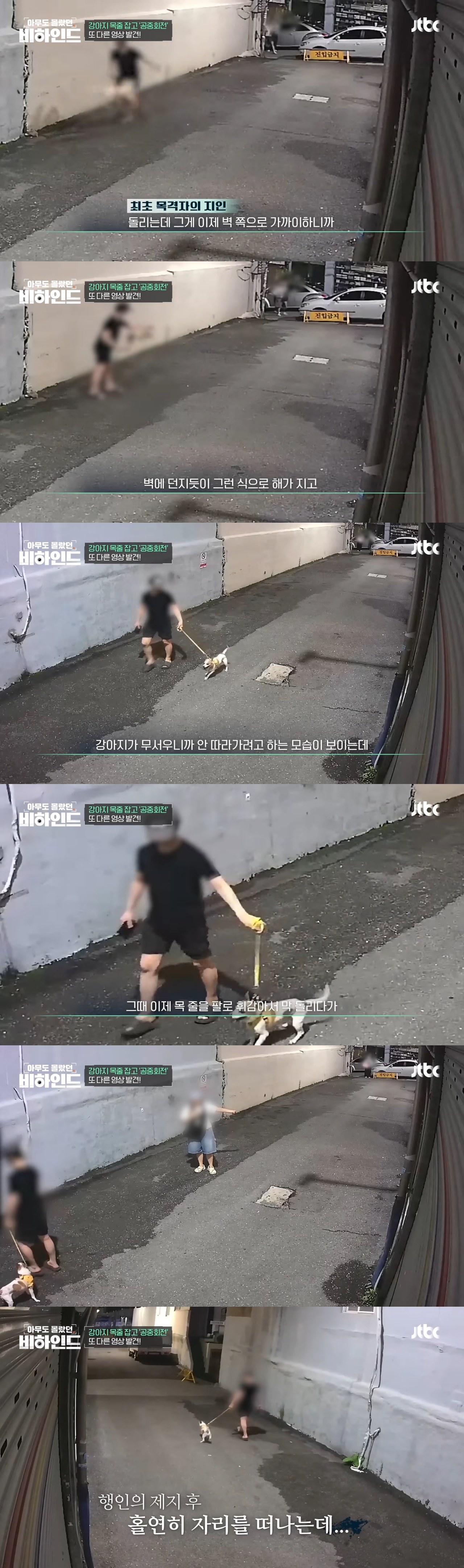 강아지 목줄 잡고 공중에서 휘둘러 난리났던 강아지 학대 사건 비하인드 | 인스티즈
