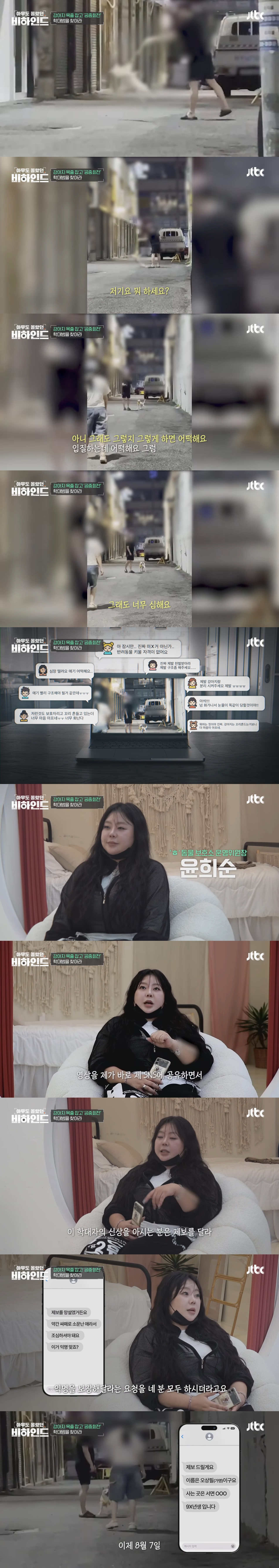 강아지 목줄 잡고 공중에서 휘둘러 난리났던 강아지 학대 사건 비하인드 | 인스티즈