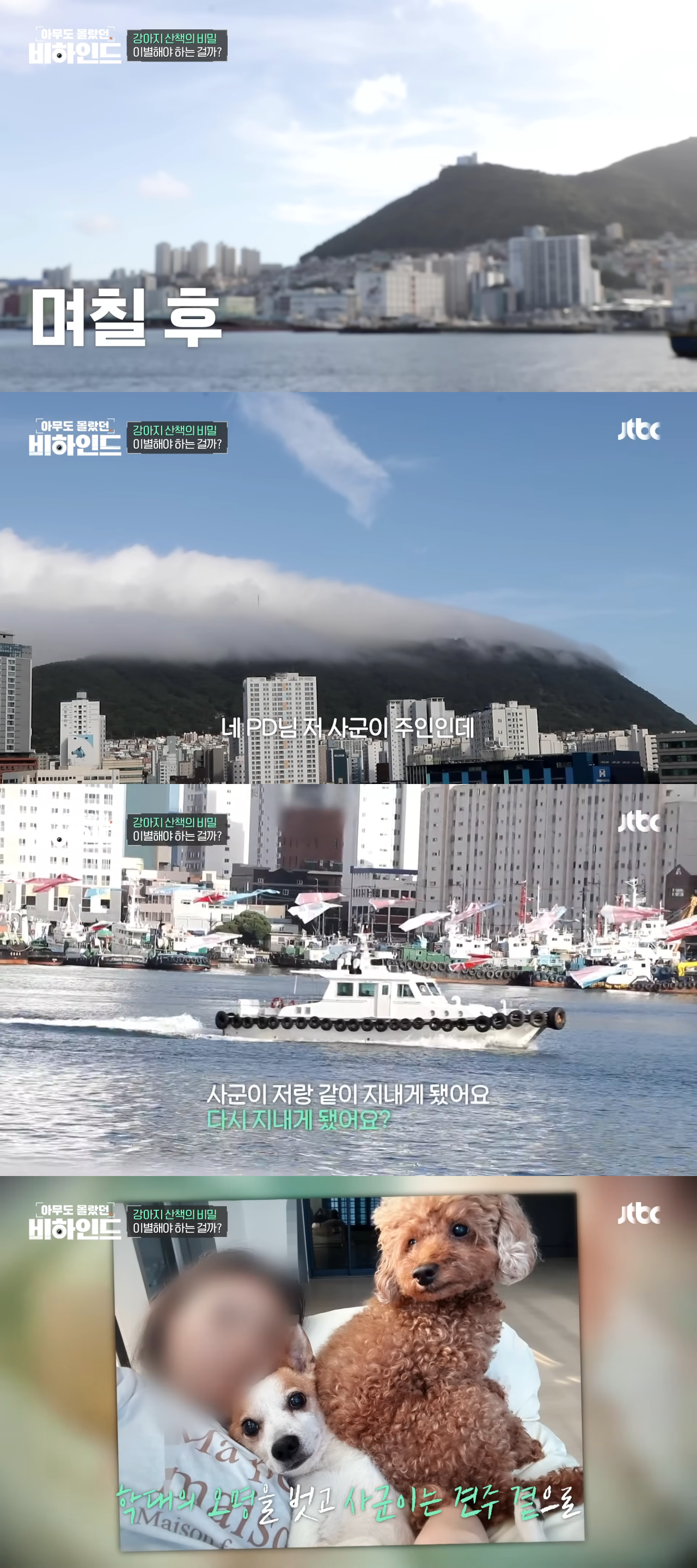 강아지 목줄 잡고 공중에서 휘둘러 난리났던 강아지 학대 사건 비하인드 | 인스티즈