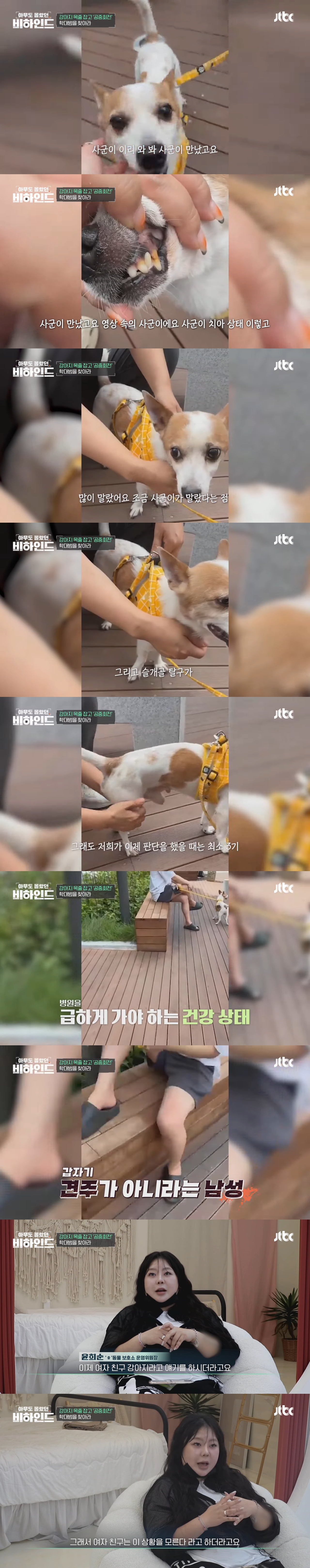 강아지 목줄 잡고 공중에서 휘둘러 난리났던 강아지 학대 사건 비하인드 | 인스티즈