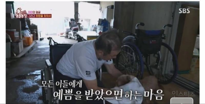 얼굴없는 강아지 미미 ㅠㅜ (충격주의) | 인스티즈