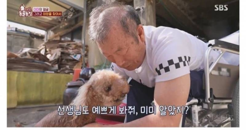 얼굴없는 강아지 미미 ㅠㅜ (충격주의) | 인스티즈