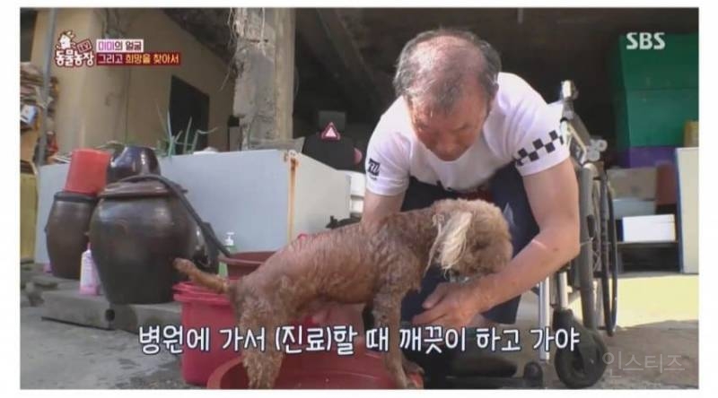 얼굴없는 강아지 미미 ㅠㅜ (충격주의) | 인스티즈