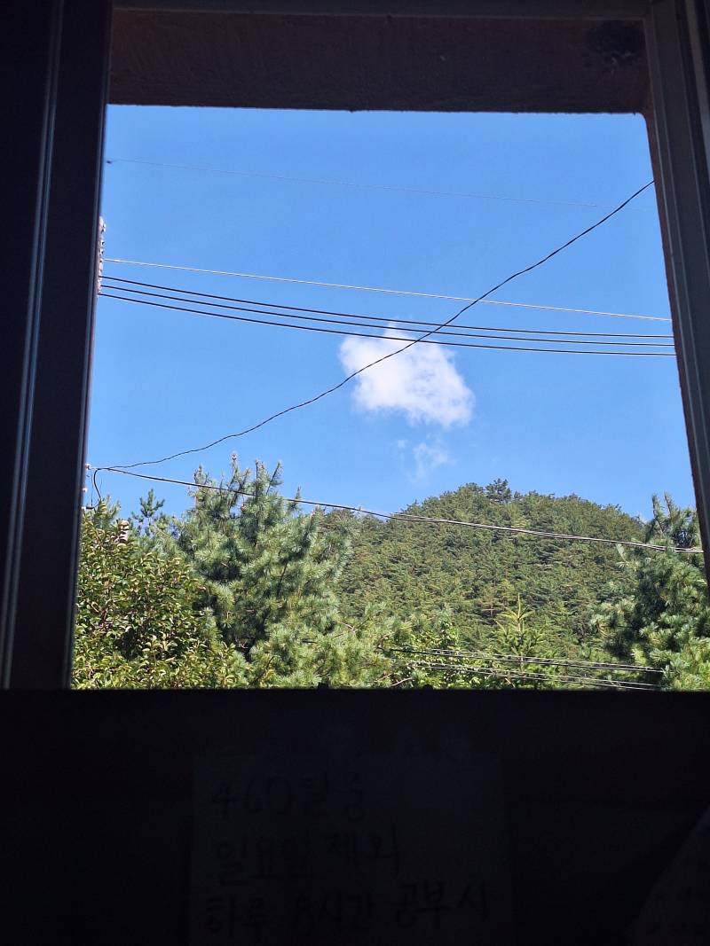[잡담] 공부하다가 하늘 봤는데 하늘 예쁘다 | 인스티즈