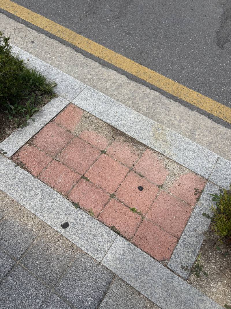 [잡담] 내가 버스타는 버정을 봐 | 인스티즈