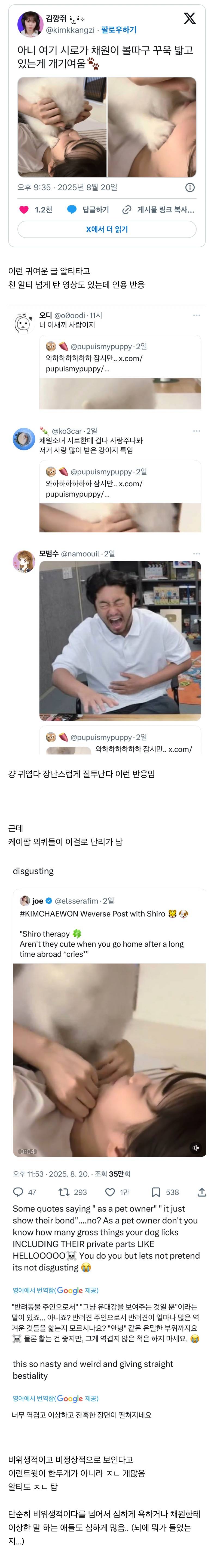 현재 심하게 욕 먹는중인 르세라핌 채원 영상..JPG | 인스티즈