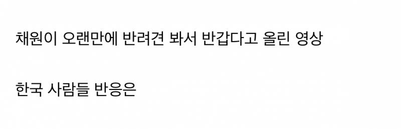 현재 심하게 욕 먹는중인 르세라핌 채원 영상..JPG | 인스티즈