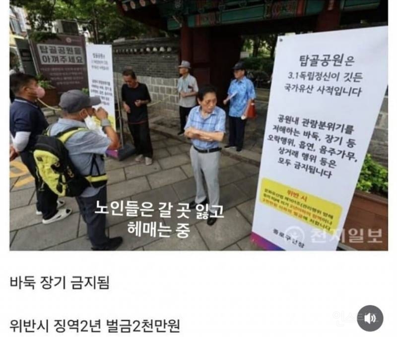 최근 종로 탑골공원에서 금지됐다는것 | 인스티즈