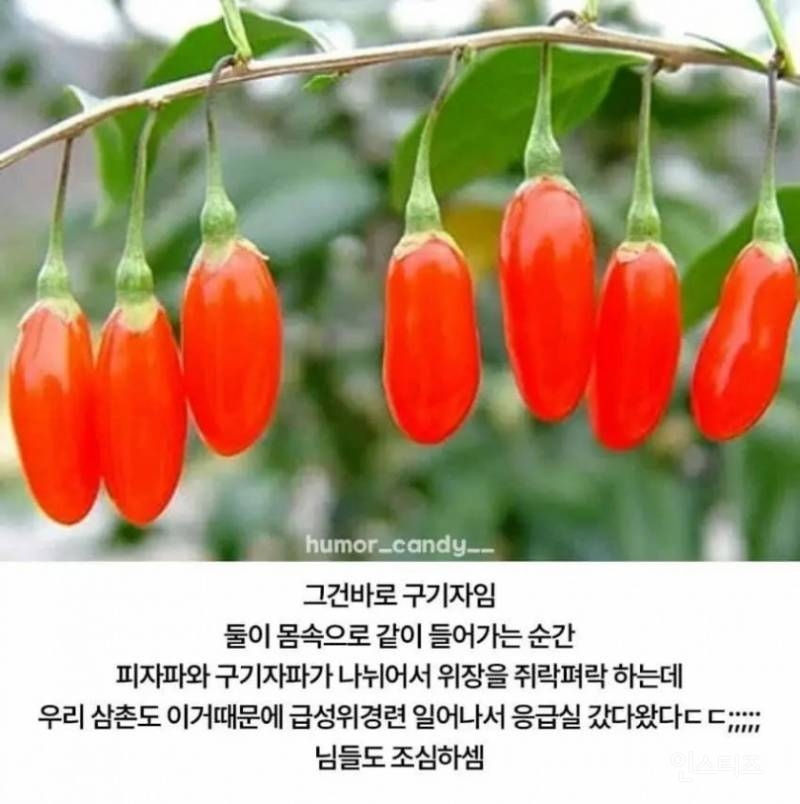 의외로 피자랑 절대 같이 먹으면 안되는 음식.jpg | 인스티즈