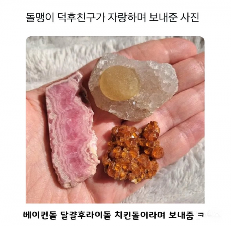 돌멩이 덕후 친구가 자랑하며 보내준 사진 | 인스티즈
