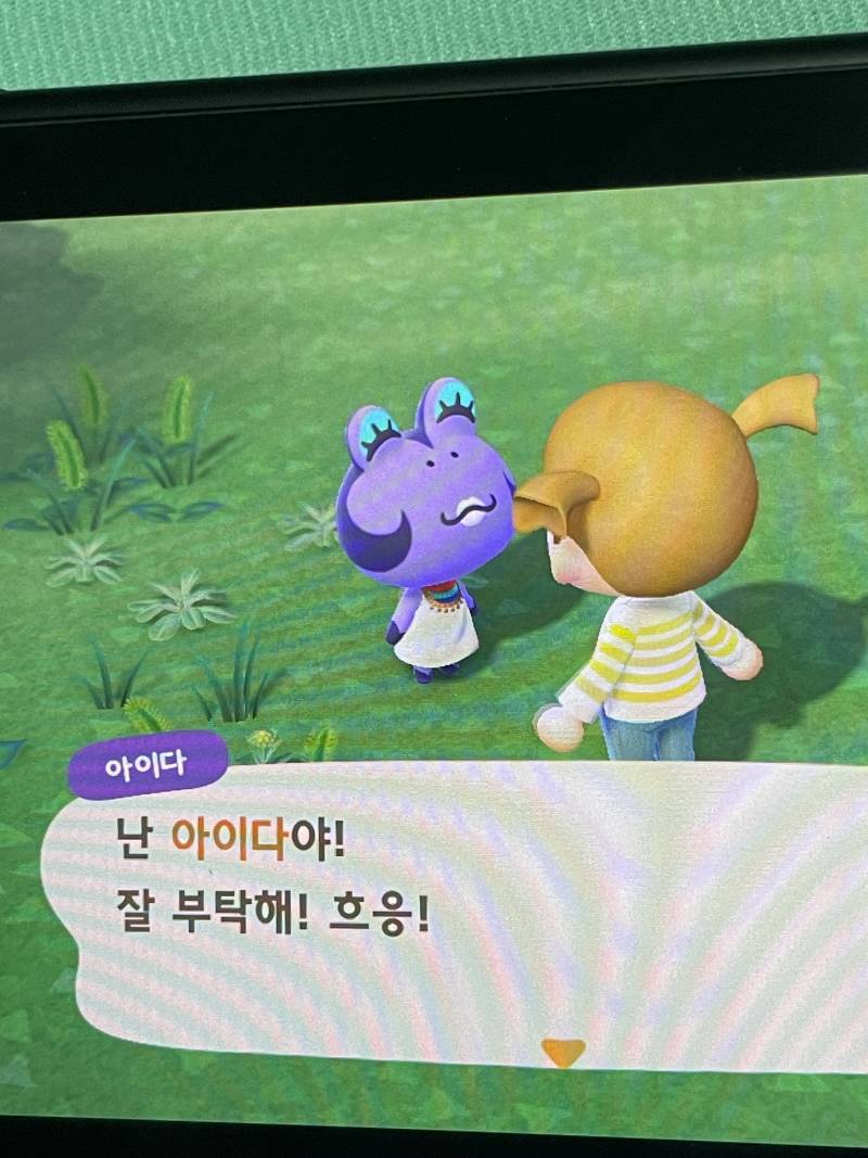 [잡담] 동숲 시작하자마자 라인업 ㄹㅈㄷ | 인스티즈