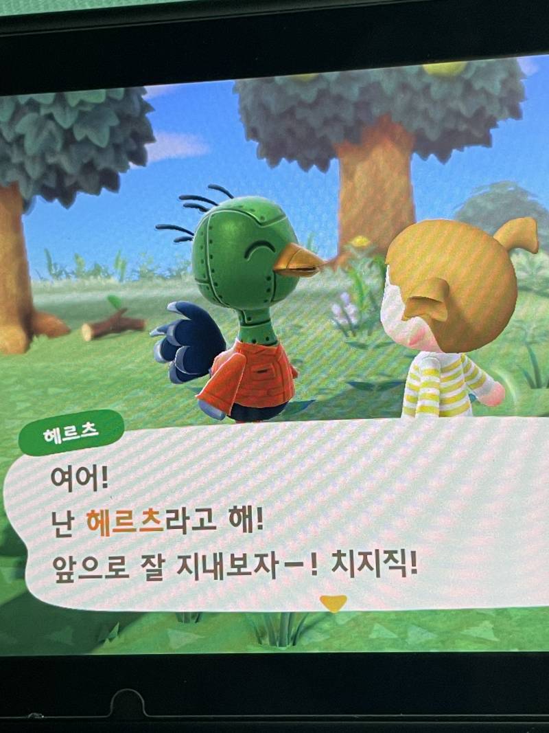 [잡담] 동숲 시작하자마자 라인업 ㄹㅈㄷ | 인스티즈