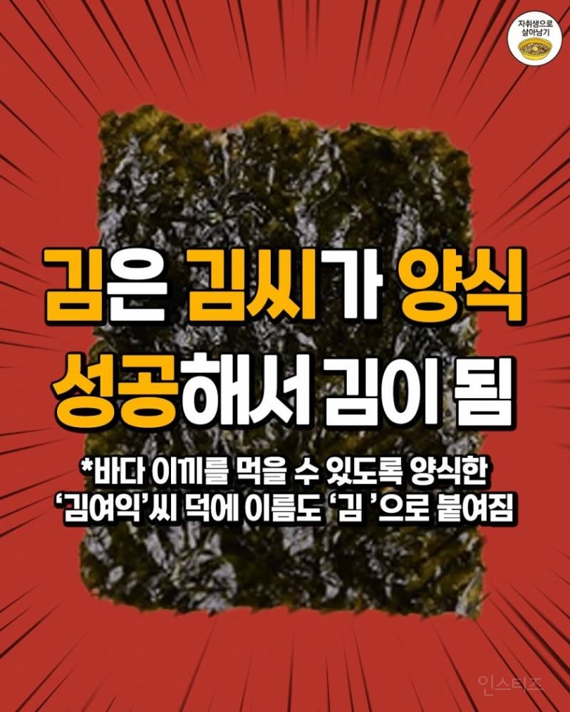 그동안 모르고 먹었던 충격적 사실들 | 인스티즈